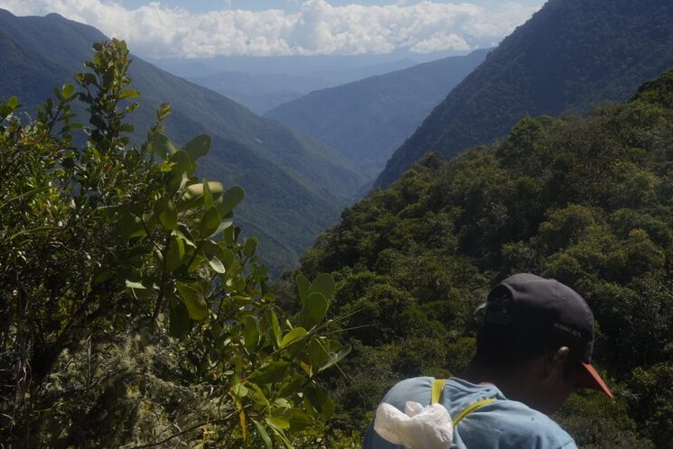 El valle del río Pampaconas en dirección a Chancavine