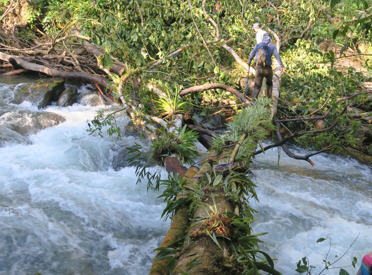 Puente sobre el río Pampaconas