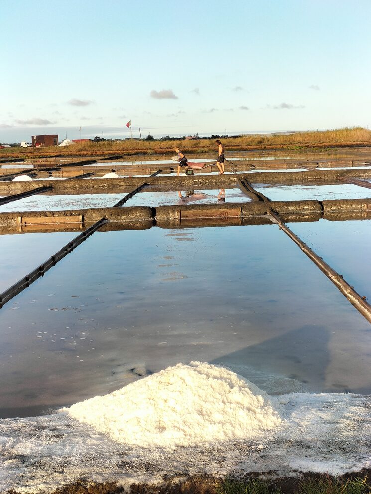 Salina de Aveiro - Agosto 2026
