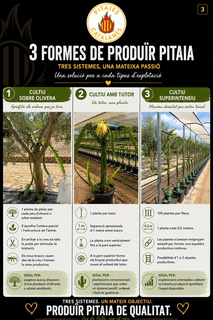 Tres formas de cultivar en exterior, existentes