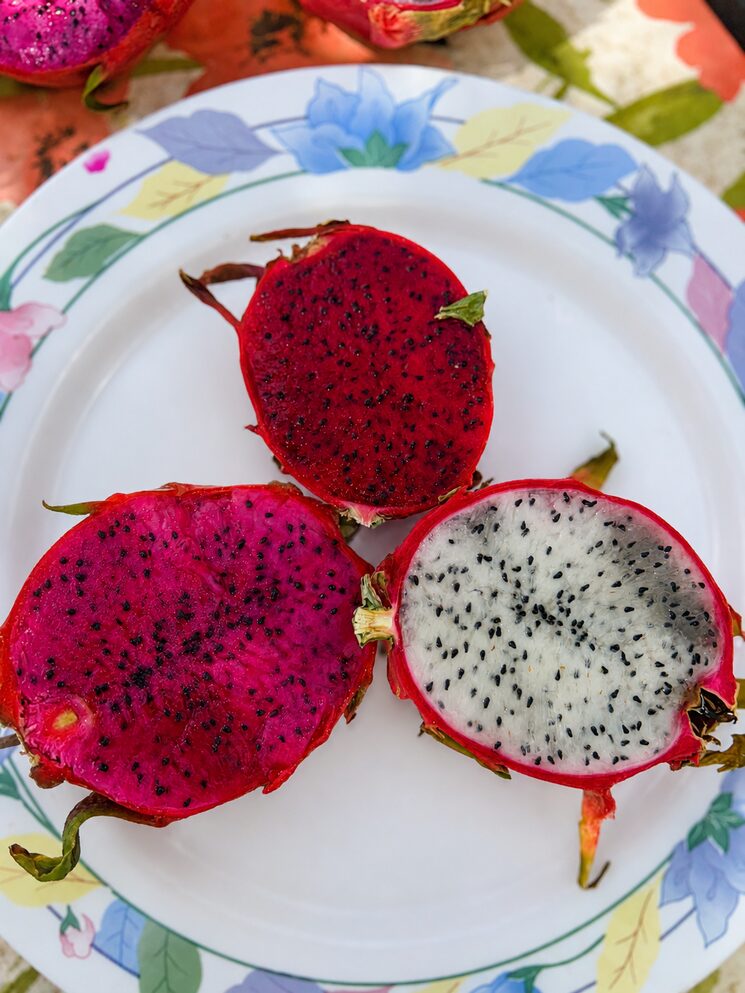 Fruta de Pitaies Catalanes