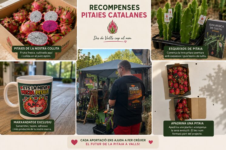 Recompensas exclusivas