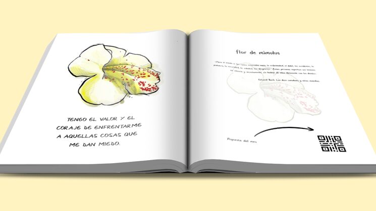 Imagen simulada, el producto final está en proceso de creación