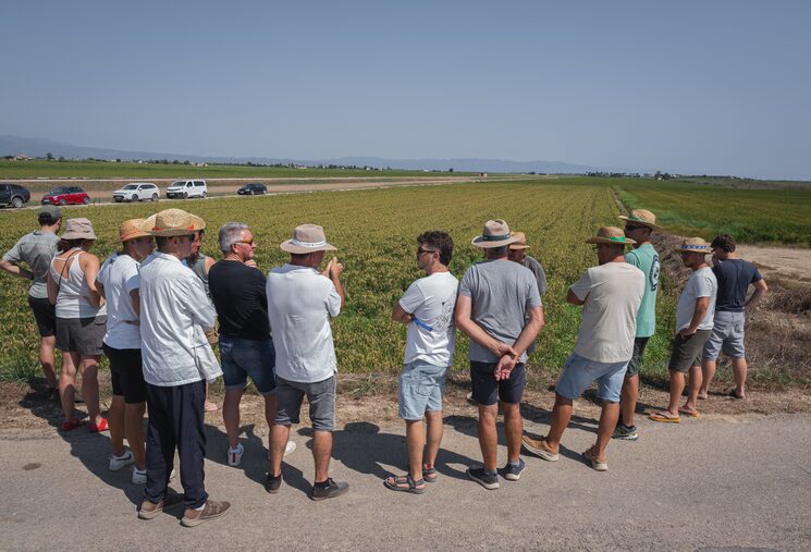 Visita técnica a los campos, agosto 2026, Deltebre