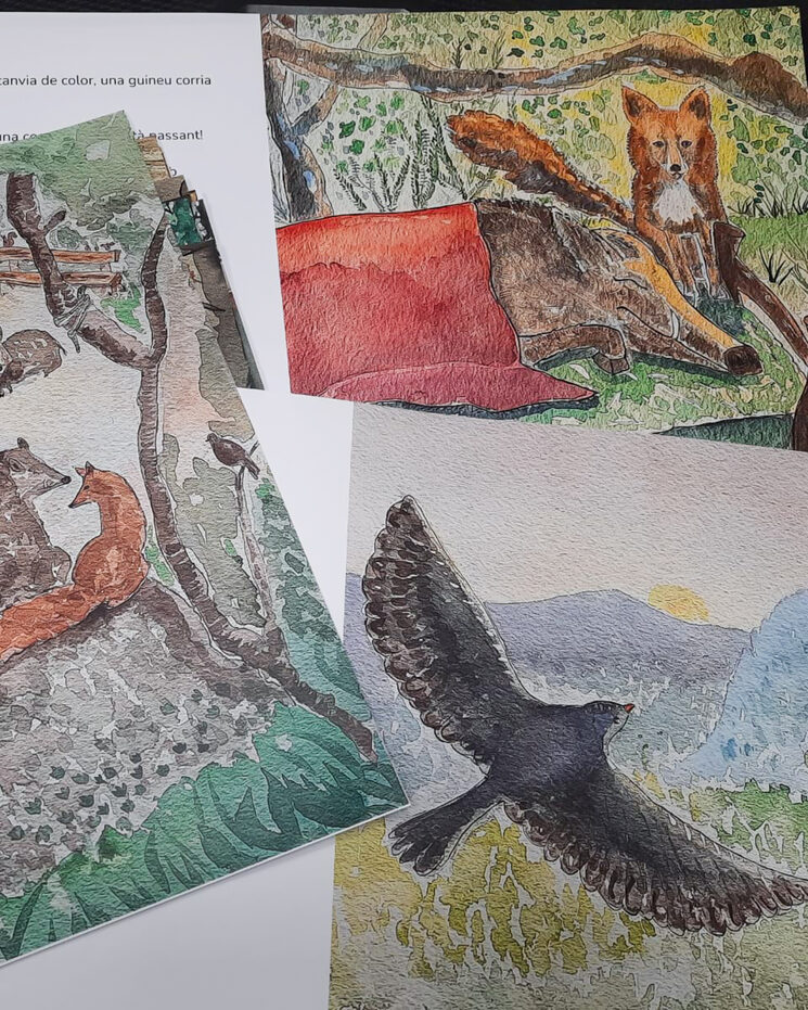 Mostra de les il·lustracions de Marta Roig