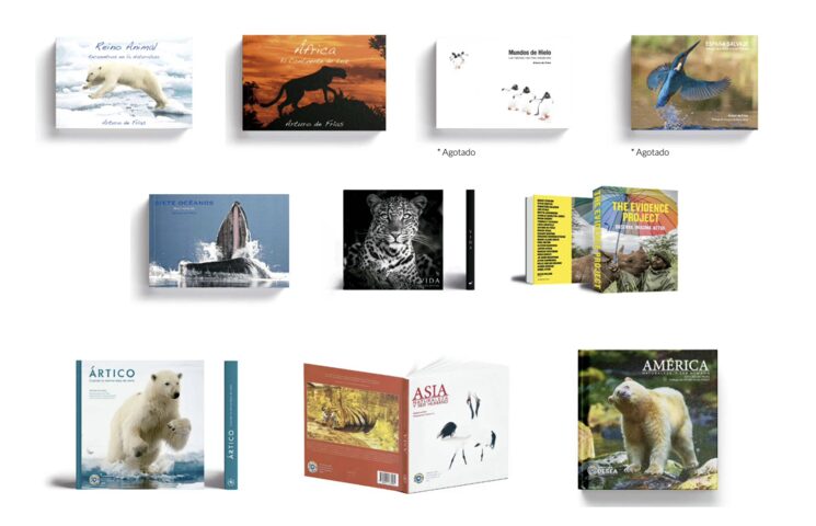 Todos mis libros disponibles como complemento (¡ojo, que ya hay dos agotados!)