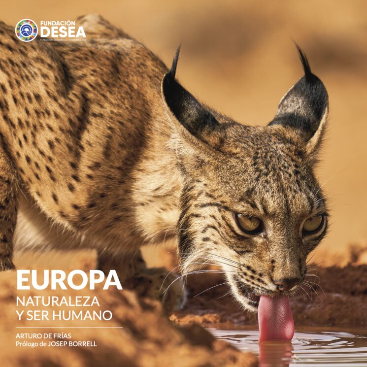 EUROPA: la portada, con ese increíble primer plano de lince que va a salir del libro y echar a correr