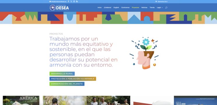 FUNDACIÓN DESEA: nuestra página web.