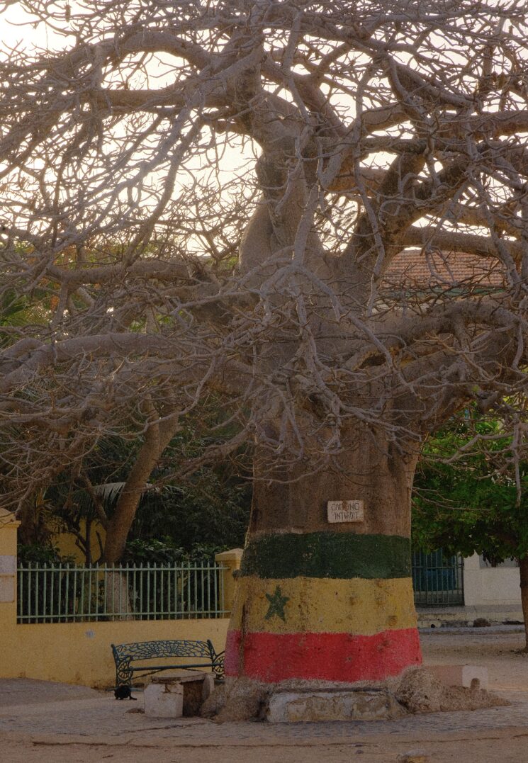 El paisaje de Gorée se siente hogar al instante.